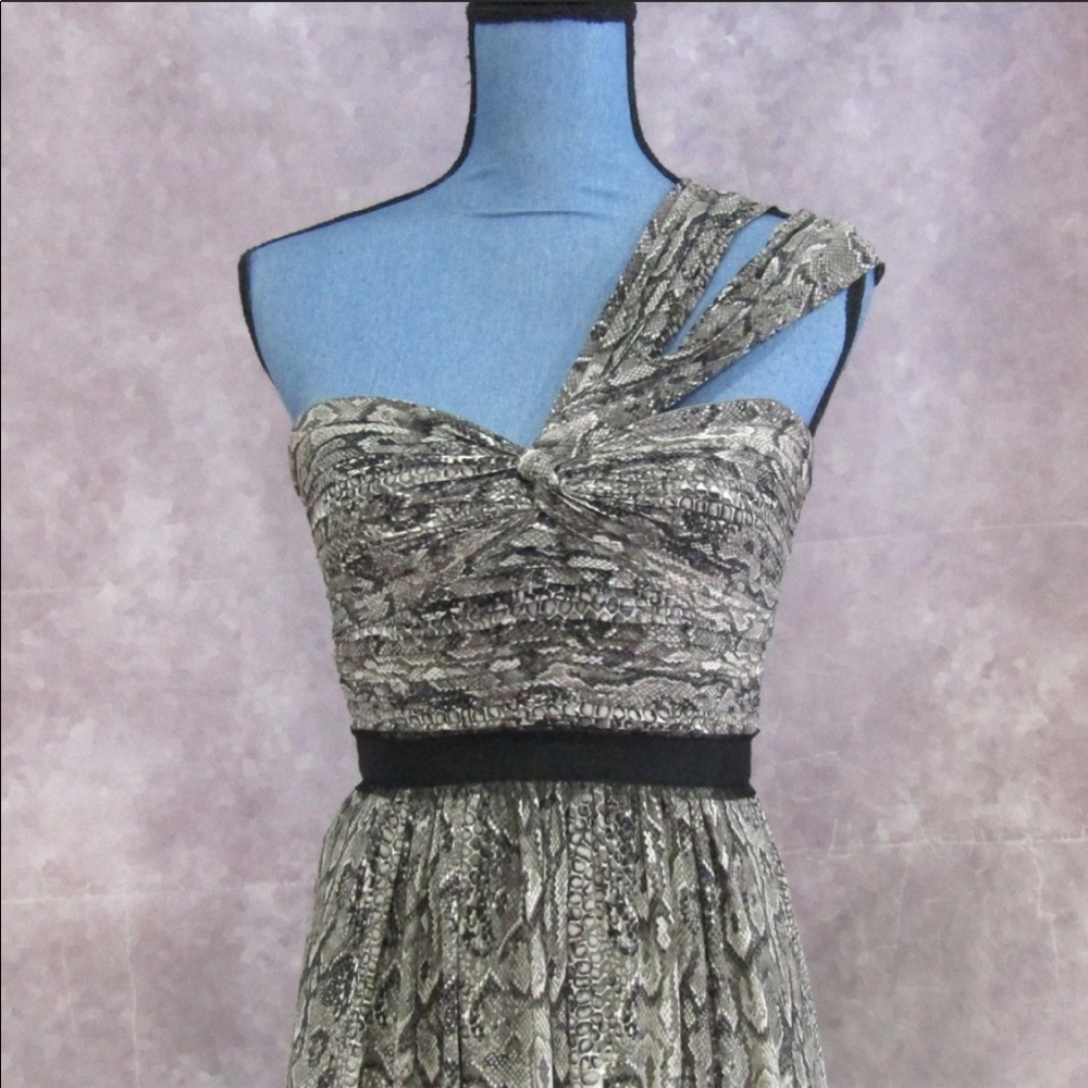 Bcbgmaxazria Python Jamille Dress - image 2